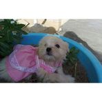 Veronica Luna Payano - Facebook