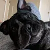 Verona Pebbles - @verona.pebbles - TikTok