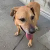 veronica.p - @veronicapeter28 - TikTok