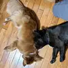 veronicapetersen92 - @veroncia1234 - TikTok