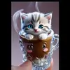 Veronica Picado - @veronica.picado70 - TikTok
