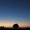 Verónica Piñeyro - @vernica.pieyro1 - TikTok