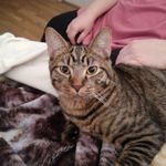 Veronica Pitts - @merlin_severus_pitts - Instagram