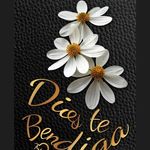 Veronica De Jesus Pompa - @veronica_de_jesus_luna_espinoz - Instagram