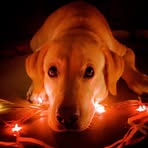 Veronica Prasad - Facebook