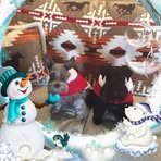 Veronica Purdy - Facebook
