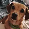 Veronica Quevedo - @veronica.quevedo96 - TikTok