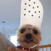 veronicaquevedo486 - @veronicaquevedo486 - TikTok