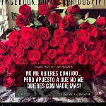 @veronica__quintero - Instagram