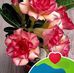 Veronicaq Quiroz - Facebook
