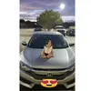 Veronica Quiroga Rui - @veronicaquirogaru - TikTok