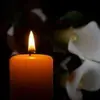 veronica G. araza - @veronicaaraza890 - TikTok