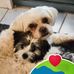 Veronica Reddington - Facebook