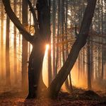 Veronica Rees - @veronica__rees_ojkk4nd0 - Instagram