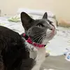 veronica - @veronicarennas5 - TikTok