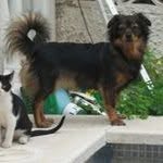 Veronica Rocchi - @leocharlyniko_ve - Instagram