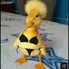 Verónica Rodríguez - @veronica04_23 - TikTok