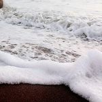 Veronica Rollins - @rollinsl3725 - Instagram