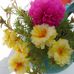 Veronica Rosenthal - Facebook