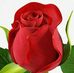 Veronica Rosiles - Facebook