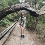 Veronica Rostirolla - @veronicarostirolla - Instagram