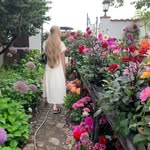 veronicarost - @veronicarost - Instagram