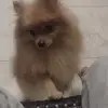 Veronica Renteria Rostro - @veronica.renteria00 - TikTok