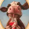 N I C A - @veronicaschmidt - TikTok