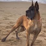 Veronica Jadue Schmidt - @chile_grandanes_perendreus - Instagram