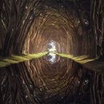 veronica schroeder - @schroeders.spell - Instagram