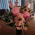 Veronica Scully - @vscully46 - Instagram