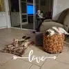 Veronica Scully-Curran - @veronica.scullycu - TikTok