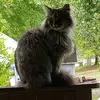 Veronica Sears641 - @vee0731 - TikTok