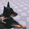 Девочка со вписки 😝 - @veronicasergienk - TikTok