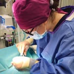 Veronica Sergi - @exotictails.vet - Instagram