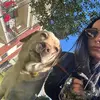 🌻👱🏻‍♀️ Vero&Shine 🐶🌻 - @veronicaeshine - TikTok