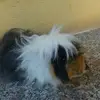 Veronica - @veronicasi - TikTok