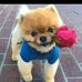 Veronica Simpson - Facebook