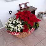 Veronica Slater - Facebook