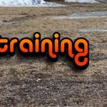 Veronica Snell - @vsnicedogtraining - Instagram