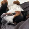 Veronica - @veronica_suleski - TikTok
