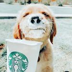 vero - @veronicaspataro83 - Instagram