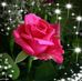 Veronica Spaulding - Facebook