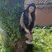 Veronica Spina - Facebook