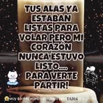 Veronica Andrea Springer - @veronicaandreaspringer - Instagram