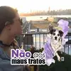 Verônica Steinbach D - @ocadiaz - TikTok