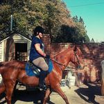 Veronica Strauss - @veronicastrauss29 - Instagram
