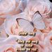 Veronica Strauss - Facebook