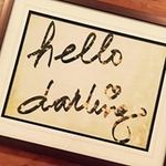 Veronica Streeter - @petinavero - Instagram