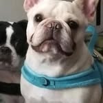 Veronica Theodoridis Suttles - @veronica_suttles3 - Instagram